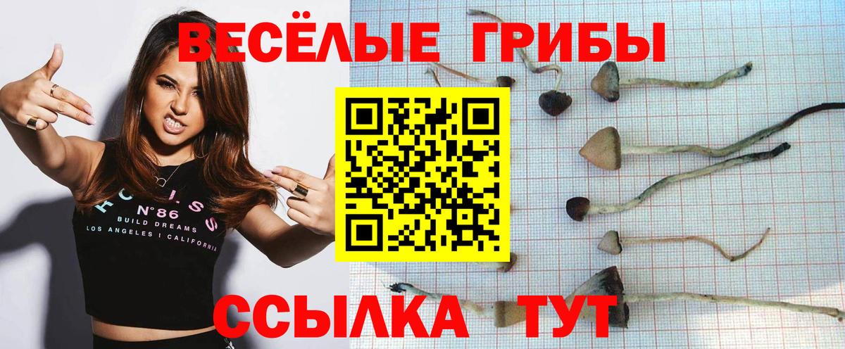 Псилоцибиновые грибы Psilocybine cubensis  Галлюциногенные грибы MAGIC MUSHROOMS  Вход с VPN  Чебаркуль 